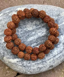 Rudraksha heren dubbel